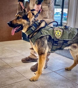 German Shepherd K9 officer from the Benton County Sheriff's Office in Washington State - Copy (2)