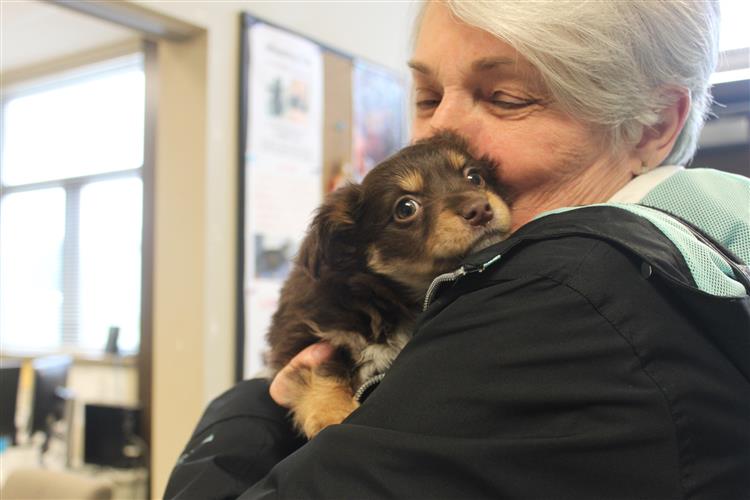 A close-up photograph of a person, likely an older woman with short gray hair, holding a small puppy close to her face in a warm embrace